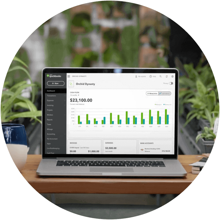 An open laptop on a table in a plant shop full of exotic-looking plants. The screen is displaying QuickBooks.